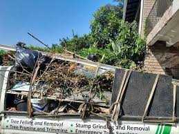 Best Demolition Debris Removal  in Ball Ground, GA