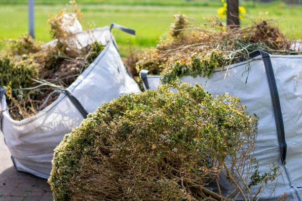 Best Recycling Services for Junk  in Ball Ground, GA